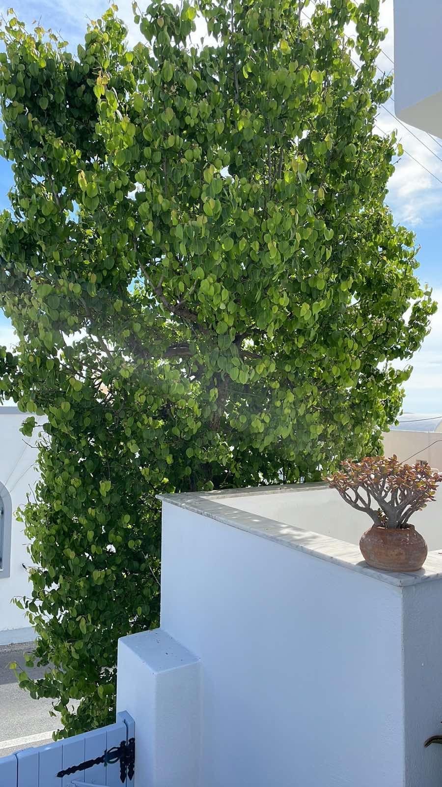 Elkaza Villas Fira  Exteriör bild